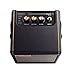 Positive Grid Spark MINI 10W Small Smart Guitar Amp & Bluetooth Speaker | Portable Sound for Guitar Playing at Home or On The Go | Black