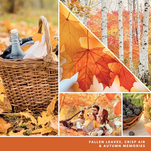 Yankee-Candle-Concentrated-Air-Freshener-Room-Spray-Odor-Eliminator-for-Home-Bathroom-Autumn-Leaves-15-Oz-Pack-of-3 Yankee Candle Concentrated Air Freshener Room Spray Odor Eliminator for Home Bathroom Autumn Leaves 15 Oz Pack of 3