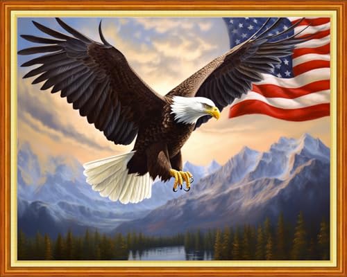 Image of Foxhool Beginners Cross Stitch Kits Stamped Full Range of Embroidery Kits for Adults DIY Cross Stitches kit Embroidery Patterns for Needlepoint kit-Flag Eagle 16x20 inch