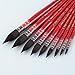 Grabie Professional Watercolor Paint Brushes, 9 Pcs Synthetic Squirrel Hair Mop Paintbrushes, Art Supplies for Painting, Great Watercolor Brushes for Artists, Amateur Hobbyists and Painting Lovers