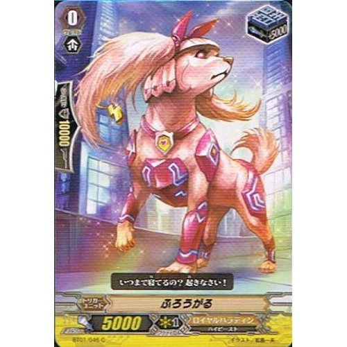 Amazon.co.jp: 【カードファイト!!ヴァンガード】 《第1弾 騎士王降臨