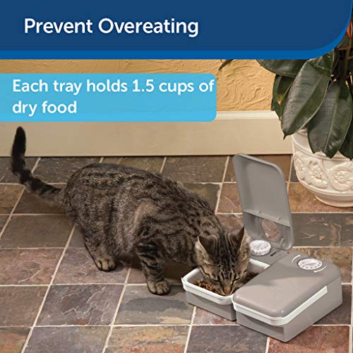 Buy PetSafe Automatic 2 Meal Pet Feeder with Battery Powered