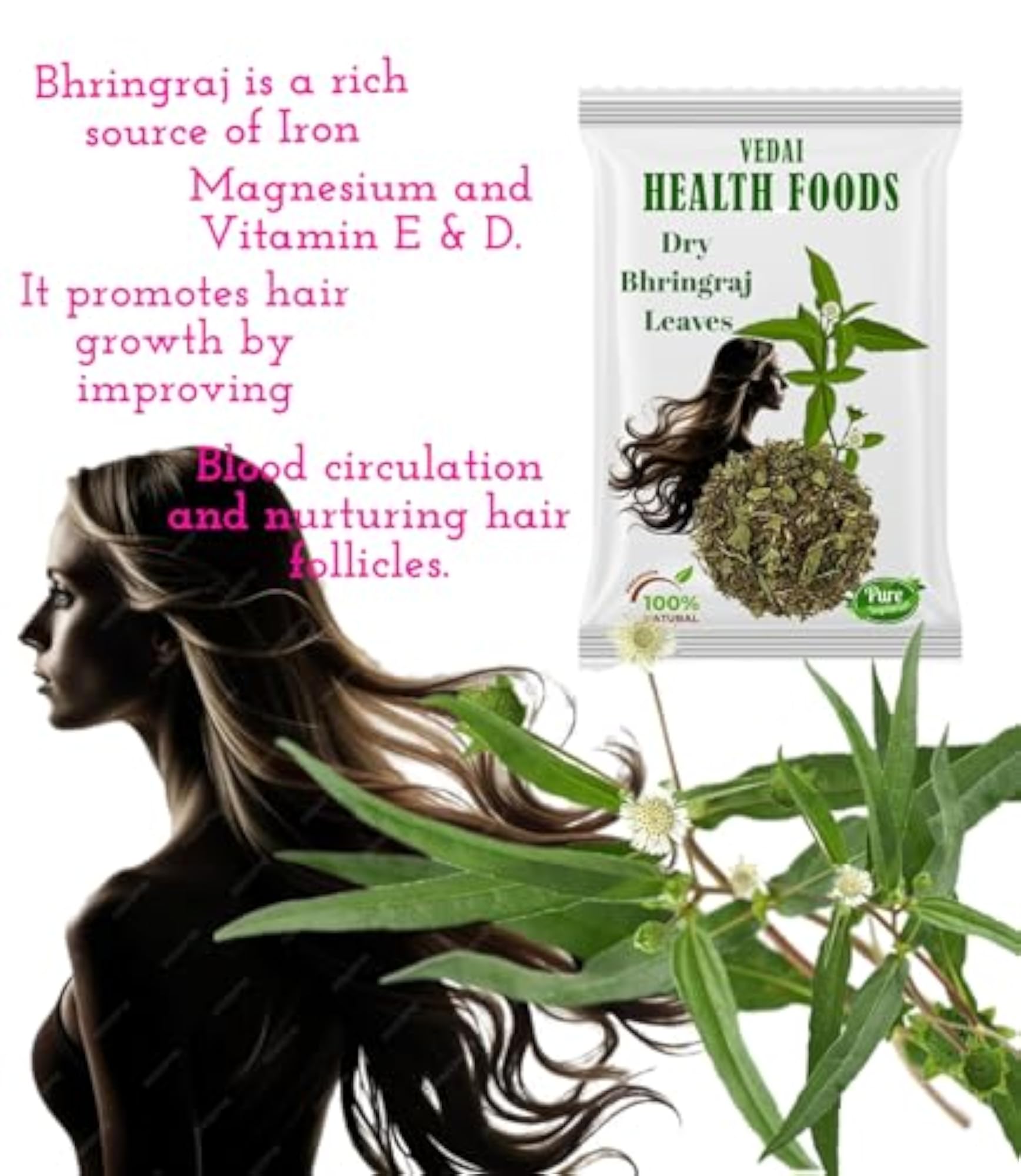 Dry Bhringraj Leaves, 100g Pack for Herbal Use