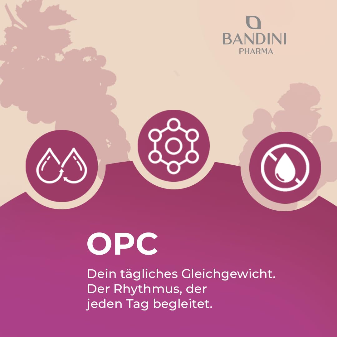 Bandini® OPC Traubenkernextrakt 365 Kapseln | Hochdosiert mit 1076mg je dosis | Höchster Gehalt nach HPLC | Aus italienischen Weintrauben | 1052mg Extrakt mit 999,4mg OPC + 24mg Vitamin C | 6 Monate