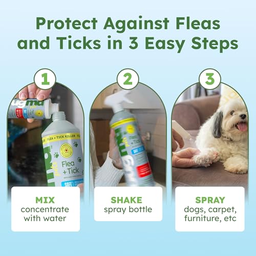 Image of BugMD Flea and Tick Concentrate (3.7 oz, 2 Pack) - Essential Oil Formula for Dogs, Controls Fleas, Ticks & Mites, Safe for Pet Beds, Kennels & Home Use
