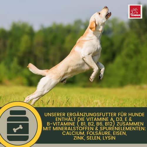 Multi Vitamin B Komplex Hund 100 ml – Hochdosierte Vitamine für Hunde mit Vitamin A D3 E B1 B2 B6 B12 C Folsäure Zink Selen – Vitalität für Welpen & Senior – Immunsystem stärken Hund Vitamin Liquid