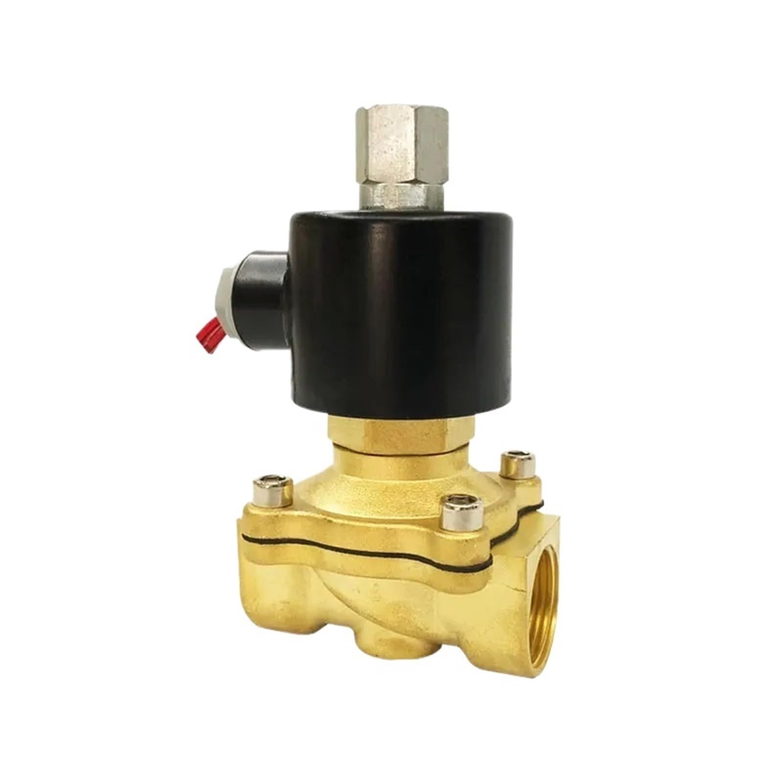 Électrovanne 220V normalement ouverte pour sécuriser l'arrosage du jardin familial
