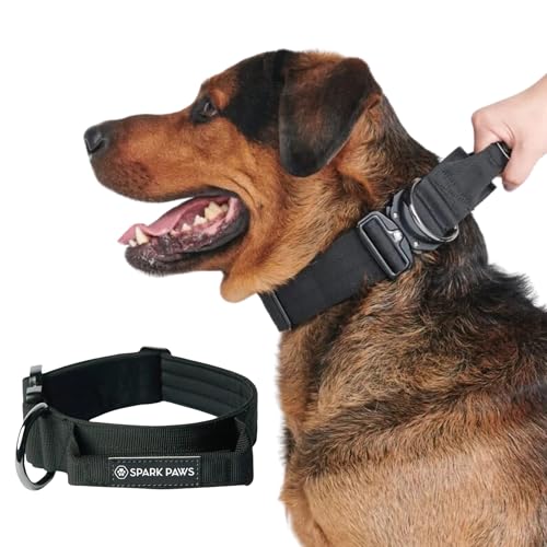 Spark Paws Taktisches Hundehalsband, strapazierfähig, Premium- Qualität, dick und langlebig, für große und mittelgroße Hunde, Schwarz, M, 3, 8 cm