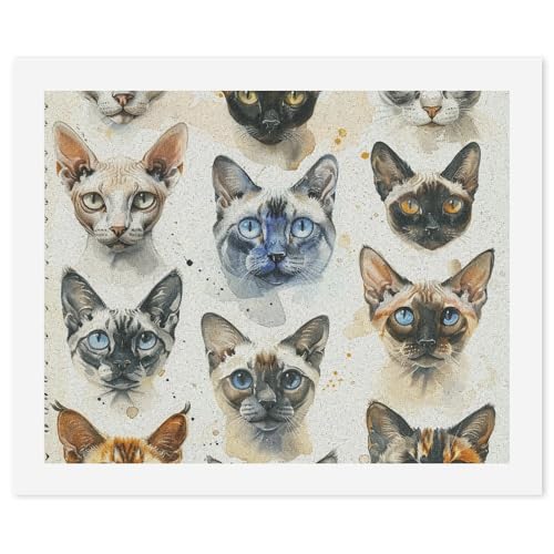 Kit de pintura por números de gatos para superar el estrés sin saber dibujar RTBKLYQ