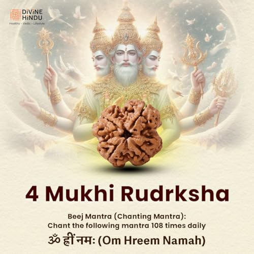 Image of Divine Hindu Original 4 Mukhi (Four Face) Indonesia Rudraksha | Chaar Mukhi Rudraksh Bead for Meditation, Protection & Spiritual Growth | Natural Rudraksha for Men & Women | Prayer Bead for Success