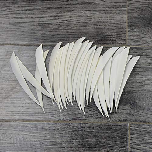 Zshjgjr 5 Inch Arrow Natural Turkey Feathers Archery Fletching Left Wing Vanes For Hunting Target Shooting30Pcs (White) #TOP1