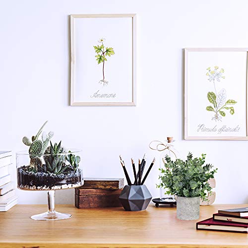 2 Pack Small Potted Eucalyptus Plant Artificial Grass in Pot Assorted Mini Houseplants Greenery for Indoor Kitchen Dining Room Office Apartment Tabletop Decorations Wedding Centerpiece 8.9\" Tall