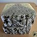 Sea Kelp with Organic Cocoa Butter Excellent Facial Unscented Soap)
