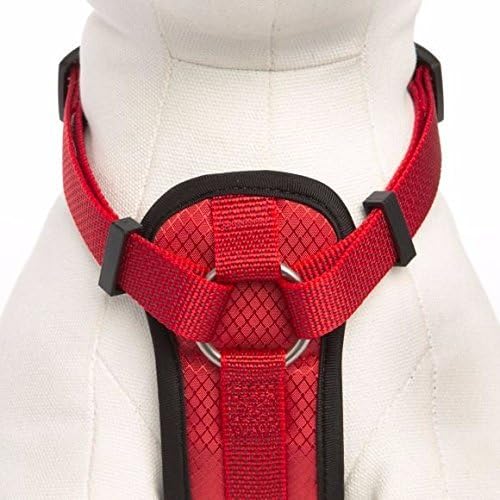 kong padded harness small
