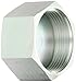 Eaton Weatherhead 4129X20 Steel 12L14 For-Seal Fitting, Cap, 1-1/4" Tube OD