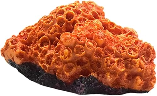 BIENKA 1pc Resin Simulation Coral Decoration for Home Artificial Aquarium Plants House Ornaments Aquarium Landscape Ornament Aquarium Landscape Decor Tabletop Decor Resin Craft Decoration Fish Tank