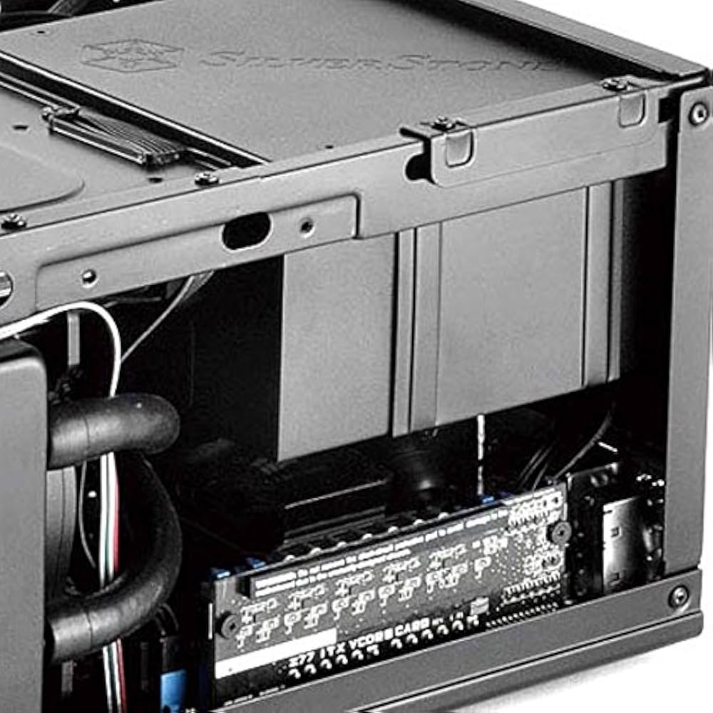 Amazon | Silver Stone SilverStone (シルバーストーン) Sugo