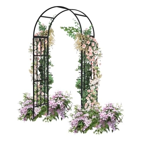 Kinsuite Black Steel Garden Arbor Cover