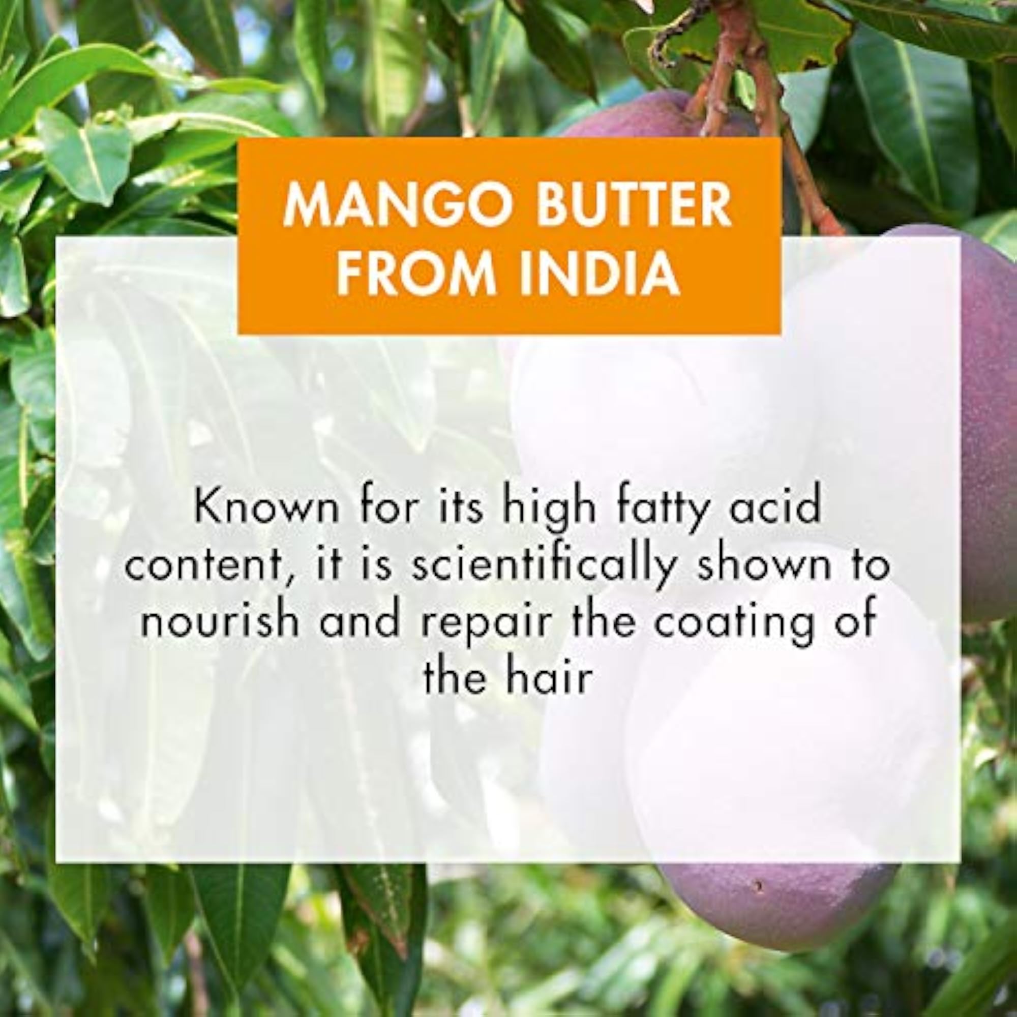 Mango Oil 125ml, Nourishing Hair & Skin Treatment