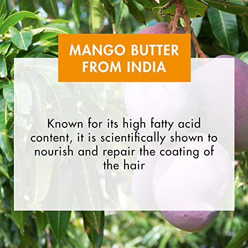 Klorane Nourishing Shampoo with Mango Butter - Image 7