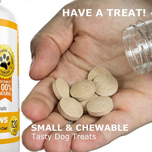 Amazing Combo Omega-3 Fish Oil And Probiotics For Dogs - Pure All-Natural Pet Antioxidant - Promotes Shiny Coat, Brain Health, Eliminates Diarrhea Gas And Joint Pain, 120 Tasty Chews X 2 #TOP4