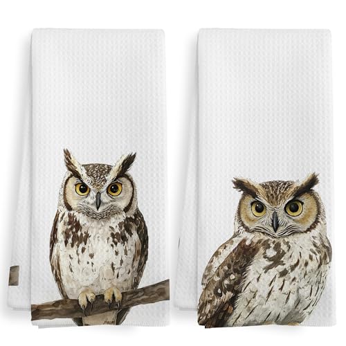 XNXLDYLH Funny Fall Owl Kitchen Towels and Dishcloths Sets of 2, Owl Home Decor Gifts for Women, Woodsy Rustic Cabin Lodge Forest Nursery Decor Dish Hand Tea Towels for Home Bathroom Kitchen,16x24Inch