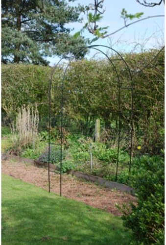 Kingfisher Self Assembly Garden Arch For Climbing Plants & Roses