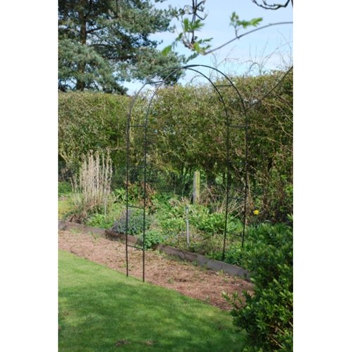 Kingfisher Self Assembly Garden Arch for Climbing Plants & Roses