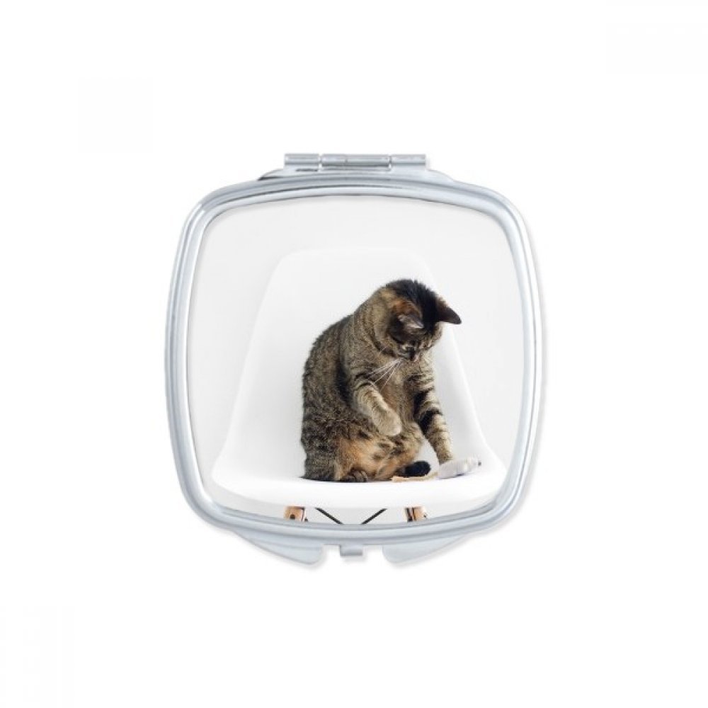 Miroir carré de poche chat aux yeux bleus compact et portable pour retouches