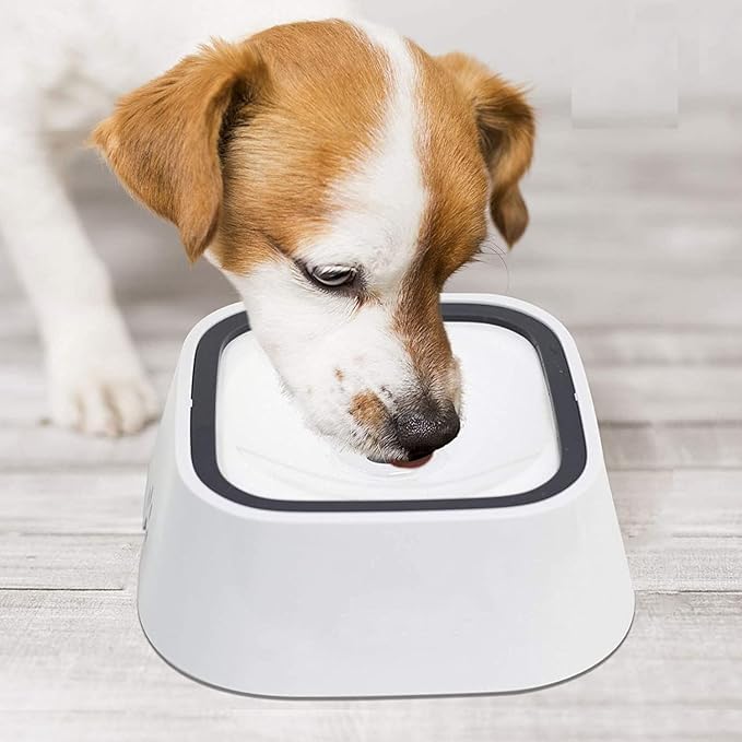 GETZET Dog Water Bowl Slow Feeder No-Spill Pet Water Bowl Vehicle Carried Splash Free for Cats Pets, Floating Disk Travel Outdoor Indoor Dispenser for Dogs, Cats (White)