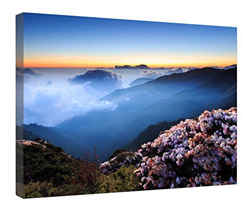 Tableau fleurs sur montagnes 40x50 cm toile encadrée bois prête à poser