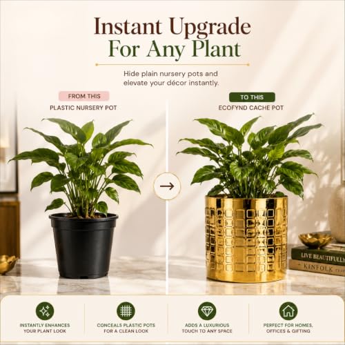 Image of ecofynd 1 Pack Metal Plant Pots (6 inch), Indoor Small Planter Flower Pots, Home Garden Decor Planter for Living Room Bedroom Interior (Gold Finish, POT055)