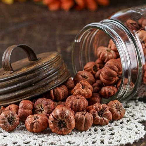 Factory Direct Craft Natural Dried Putka Pod Mini Pumpkins Fall Decorative Bowl Filler - Tiny Pumpkin Putka Pods (Bag of 4 Cups)