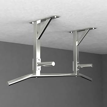 Amazon | 壁取り付け式懸垂バー、天井取り付け式ステンレス