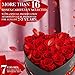 Impouo 16-Piece Preserved Rose Birthday Gifts for Women, Eternal Rose Preserved Flowers for Delivery Prime Mothers' Day, Valentine's Day, Christmas, Birthday - Red Roses