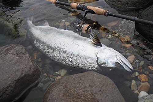 AbuGarcia (アブガルシア) ソルティースタイル ノーザンカスタム SStyle Northern Custom STNS-102ML 釣竿 釣り竿 海アメ 海サクラ ロッド 8枚目