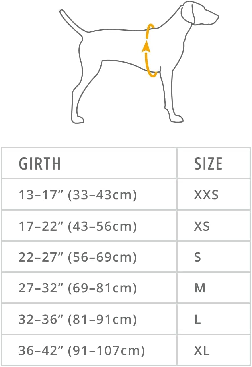 Ruffwear Quinzee Medium Dog Rain Jacket, Insulated All Weather Dog Coat, Water Resistant Dog Jacket - Image 3