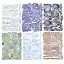 MiyouLuna My Travel View Sticker Pack - Waterproof And Transparent Decals For Journals, Laptops, And Scrapbooks