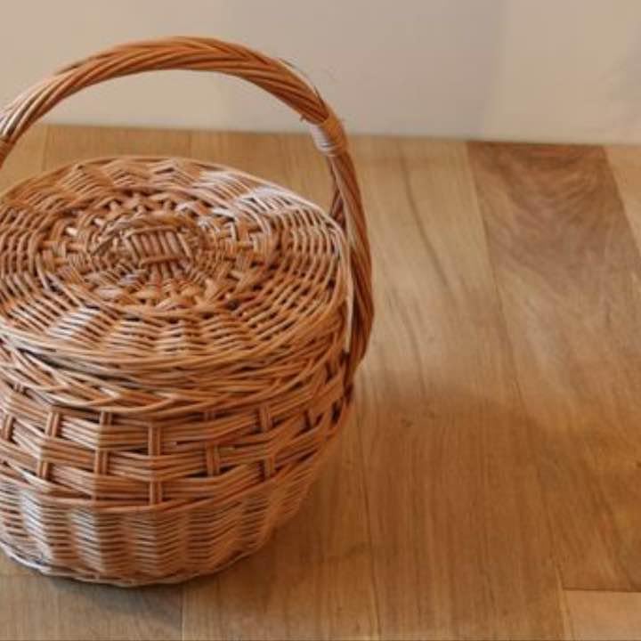 ビカクシダ 銀華☓willinkii Dwarf mix 中株 ビカクシダ 銀華 ビカクシダ 銀華☓willinkii Dwarf mix 中株 ビカクシダ 銀華