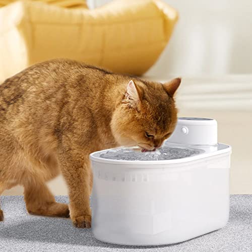 Controlador batería para fuente de agua para gatos miniatura 7
