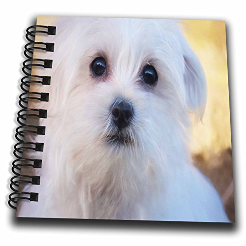 Mini bloc-notes Westie 3drose pour organiser vos journées au bureau