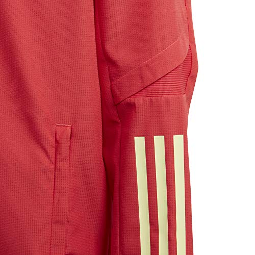 Adidas Rbfa Pre Jkt Y, Giacca Unisex, Rojglo, M