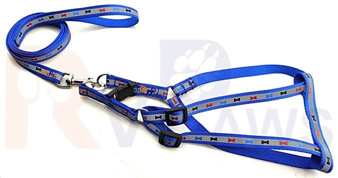 Woofy Soft Nylon Printed Reflective Harness & Adjustable Buckle Leash Set with D Metal Ring for Small Dogs, Puppies, Cats, and Kittens - 15mm (Blue) (B0BXKVQJTS) Amazon Price History, Amazon Price Tracker