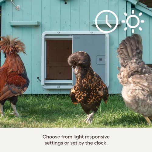 Omlet Smart Automatic Chicken Coop Door Opener | Wi-Fi Enabled | Programmable with App | Operated by Light Sensor or Timer | Easy to Install | Mains or Battery Powered | Built-in Safety Sensors Grey