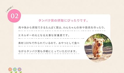 送料無料 早い者勝ち 日本産 犬用おやつ いぬじゃーきー 無添加ピュア Purevalue5 選べる袋 トライアルパック 犬 おやつ 犬用 おやつ 犬のおやつ 犬のオヤツ いぬのおやつ いぬじゃーきー 再入荷 Donaldsoneducation Com
