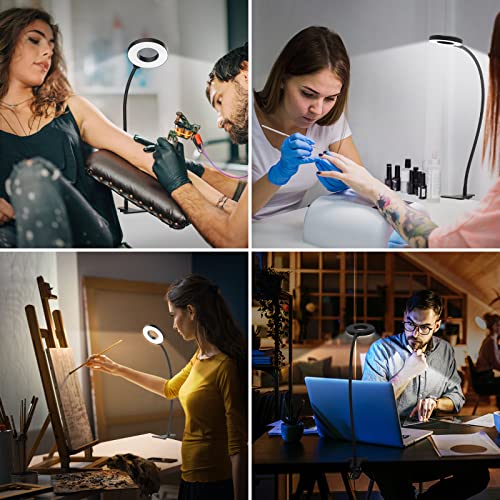 Image of iZELL Table Lamp for Study Room, 12W Study Lamp with 3 Color Modes & 10 Brightness Levels, 360 Adjustable Swing Arm Desk Lamp, Eye-Caring Reading Light and Study Table Lamp