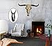 European Mount Skull Hanger 5 Skull Hooker Trophy Mounts Perfect Kit for Hanging and Mounting Bear,Deer, Pronghorn, Smaller Skulls for Display