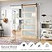 ROYMELO 42x84 inch Glass Sliding Barn Door Slab with 7ft Hardware Kit Included, 5-Panel Frosted Glass, Spruce Wood Support DIY Dyeing, Easy Assembly
