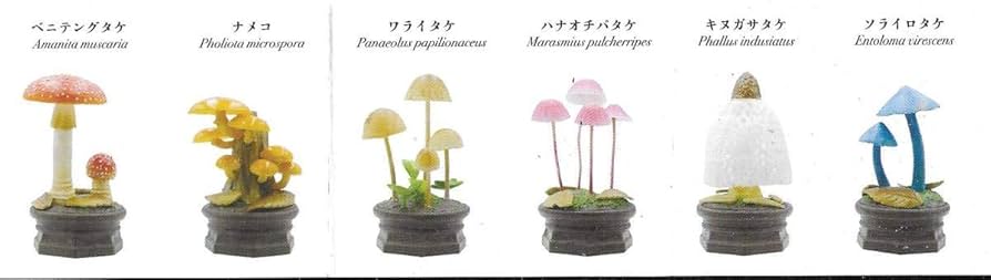 きのこ立体図鑑　全6種　コンプリートセット　ガチャ Amazon.co.jp: きのこ立体図鑑2 [全6種セット(フルコンプ