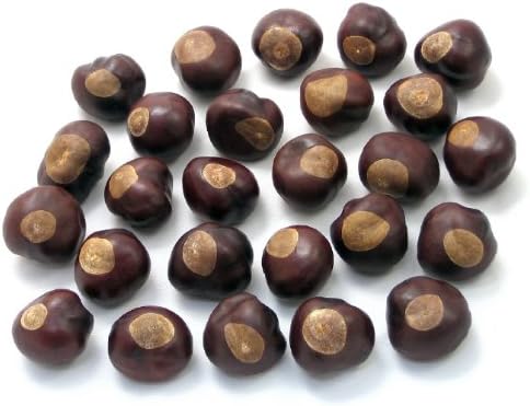 Buckeye Nuts - Quarter Size - Twenty-Five Nuts